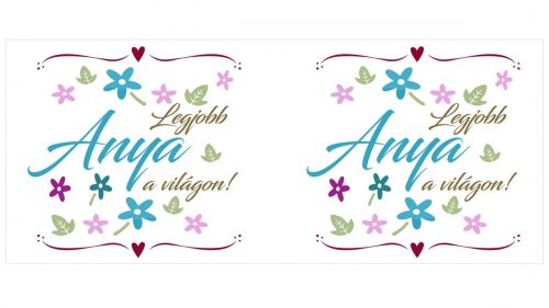 Legjobb Anya a világon